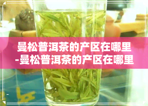 曼松普洱茶的产区在哪里-曼松普洱茶的产区在哪里啊