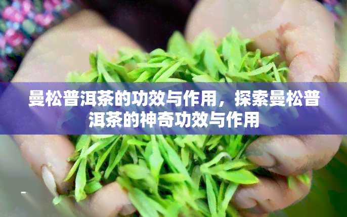 曼松普洱茶的功效与作用，探索曼松普洱茶的神奇功效与作用