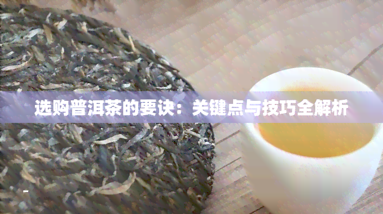 选购普洱茶的要诀：关键点与技巧全解析