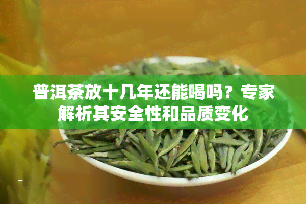 普洱茶放十几年还能喝吗？专家解析其安全性和品质变化