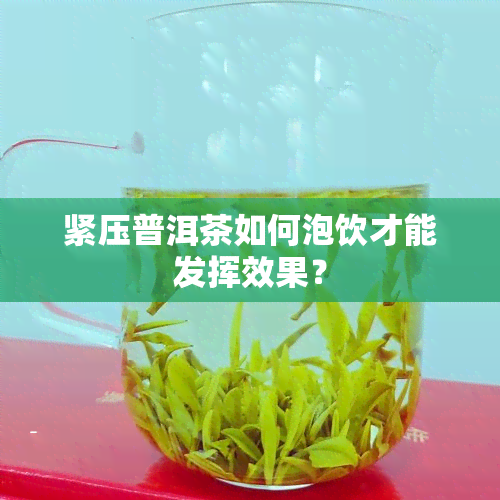 紧压普洱茶如何泡饮才能发挥效果？