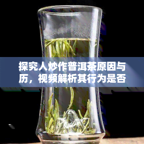 探究人炒作普洱茶原因与历，视频解析其行为是否违法，同时了解人对普洱茶的热爱和消费情况