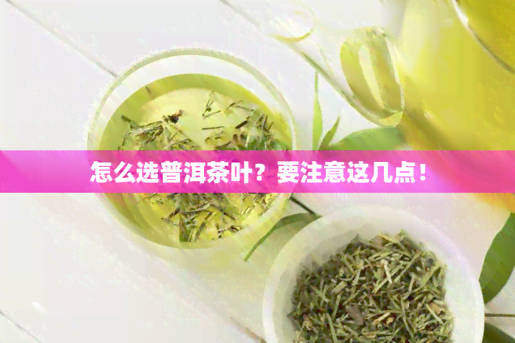 怎么选普洱茶叶？要注意这几点！