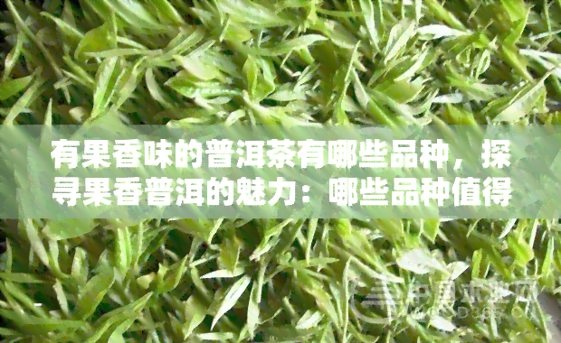 有果香味的普洱茶有哪些品种，探寻果香普洱的魅力：哪些品种值得一试？