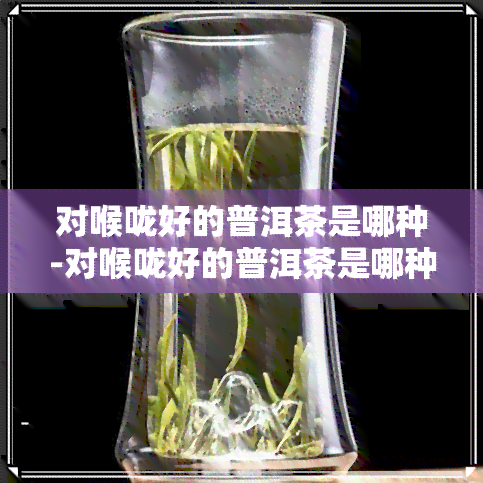 对喉咙好的普洱茶是哪种-对喉咙好的普洱茶是哪种茶