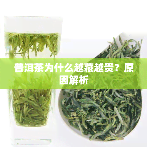 普洱茶为什么越藏越贵？原因解析