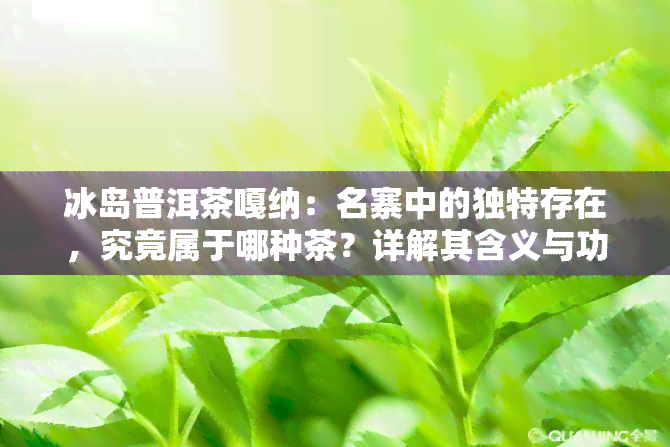 冰岛普洱茶嘎纳：名寨中的独特存在，究竟属于哪种茶？详解其含义与功效