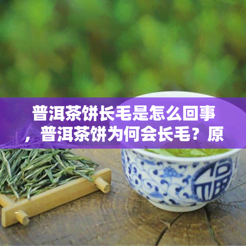 普洱茶饼长毛是怎么回事，普洱茶饼为何会长毛？原因解析