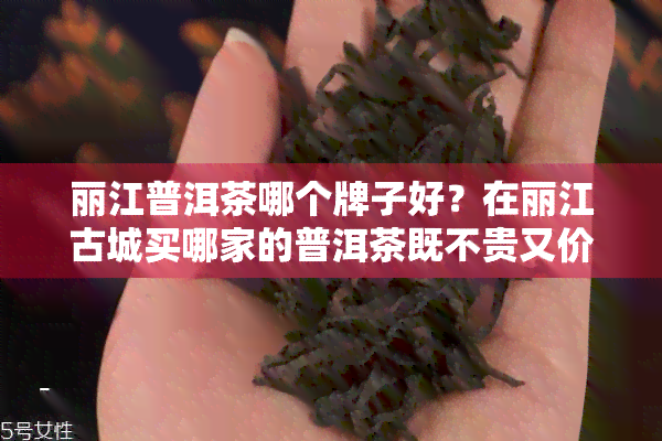 丽江普洱茶哪个牌子好？在丽江古城买哪家的普洱茶既不贵又价物美？