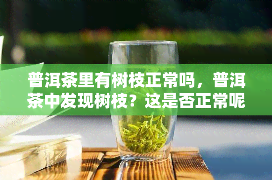 普洱茶里有树枝正常吗，普洱茶中发现树枝？这是否正常呢？