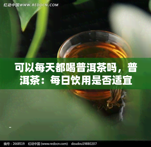 可以每天都喝普洱茶吗，普洱茶：每日饮用是否适宜？