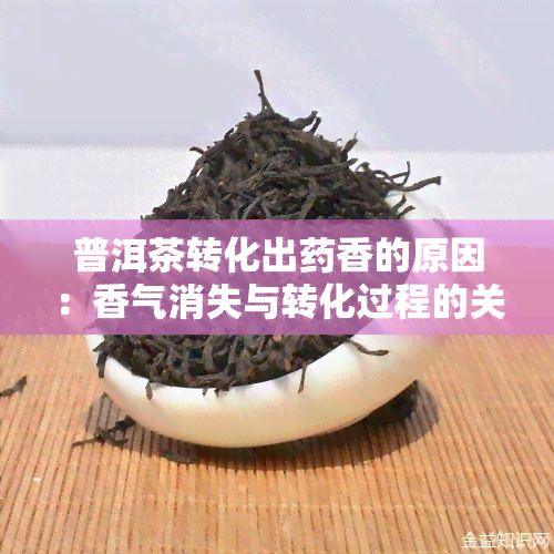 普洱茶转化出香的原因：香气消失与转化过程的关系