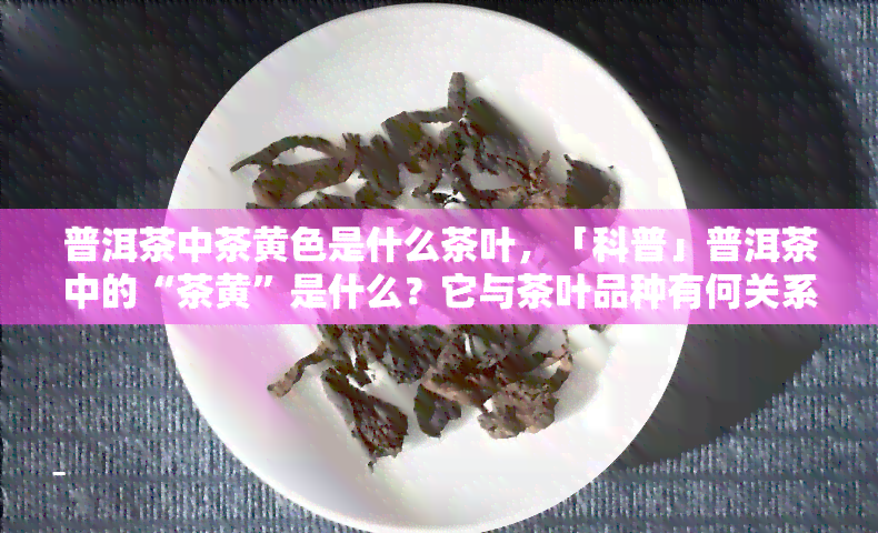 普洱茶中茶黄色是什么茶叶，「科普」普洱茶中的“茶黄”是什么？它与茶叶品种有何关系？