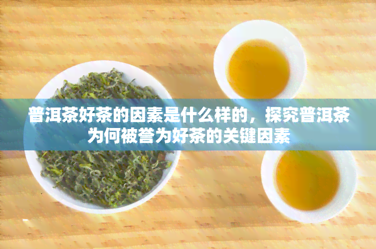 普洱茶好茶的因素是什么样的，探究普洱茶为何被誉为好茶的关键因素