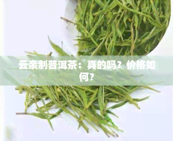 云亲制普洱茶：真的吗？价格如何？