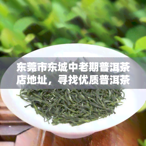 东莞市东城中老期普洱茶店地址，寻找优质普洱茶？来东莞市东城中老期普洱茶店！