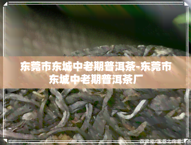 东莞市东城中老期普洱茶-东莞市东城中老期普洱茶厂