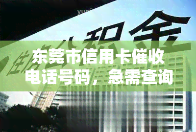 东莞市信用卡电话号码，急需查询东莞市信用卡电话号码？来这里快速获取！