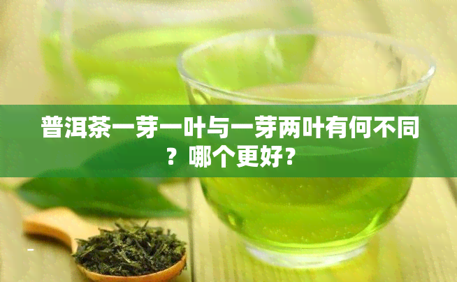 普洱茶一芽一叶与一芽两叶有何不同？哪个更好？