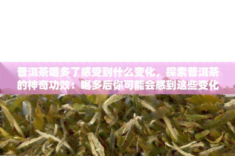 普洱茶喝多了感受到什么变化，探索普洱茶的神奇功效：喝多后你可能会感到这些变化