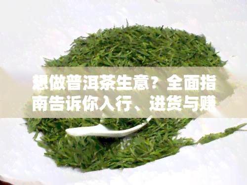 想做普洱茶生意？全面指南告诉你入行、进货与赚钱技巧！