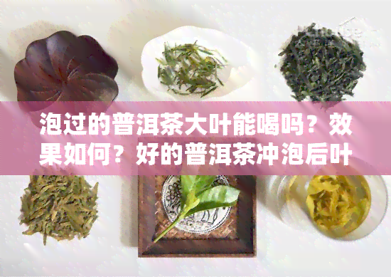 泡过的普洱茶大叶能喝吗？效果如何？好的普洱茶冲泡后叶子状态解析