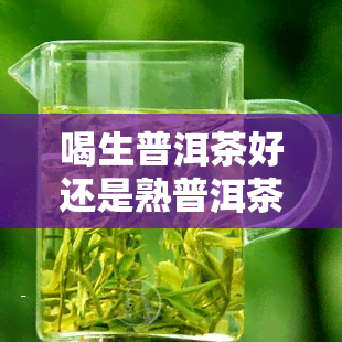 喝生普洱茶好还是熟普洱茶好？女性适合哪种？详解优缺点与区别