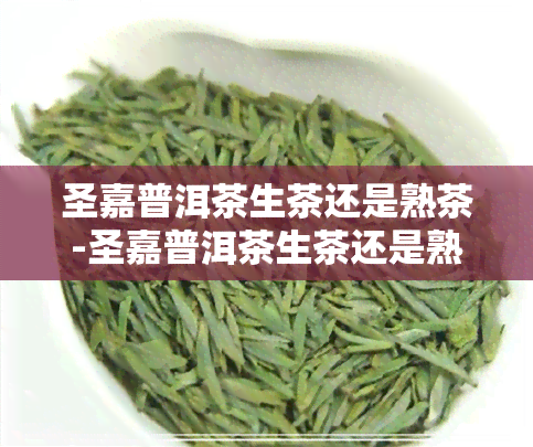 圣嘉普洱茶生茶还是熟茶-圣嘉普洱茶生茶还是熟茶好