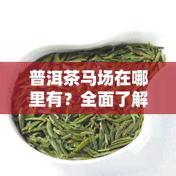 普洱茶马场在哪里有？全面了解普洱茶叶场信息与项目