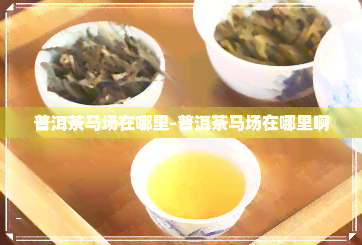 普洱茶马场在哪里-普洱茶马场在哪里啊