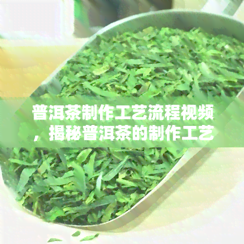 普洱茶制作工艺流程视频，揭秘普洱茶的制作工艺，全过程视频详解