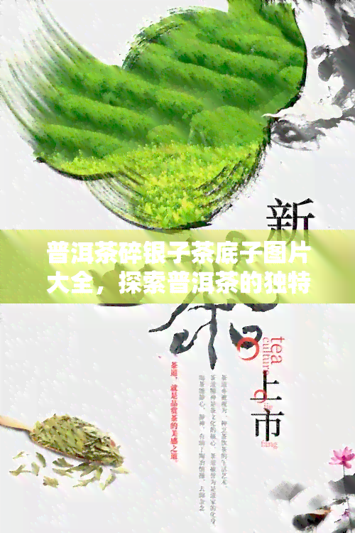 普洱茶碎银子茶底子图片大全，探索普洱茶的独特魅力：碎银子茶底子图片大全