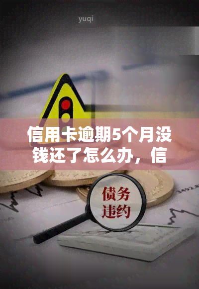 信用卡逾期5个月没钱还了怎么办，信用卡逾期5个月，资金紧张无法还款，如何解决？