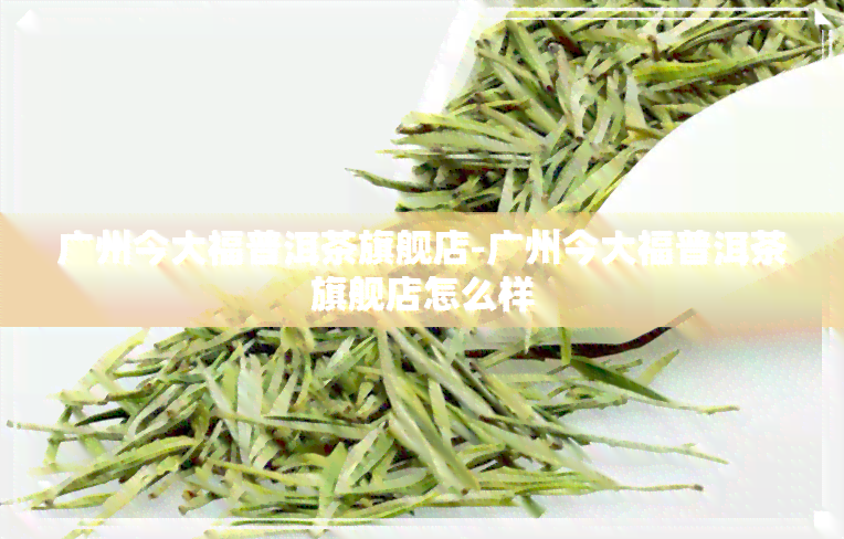 广州今大福普洱茶旗舰店-广州今大福普洱茶旗舰店怎么样