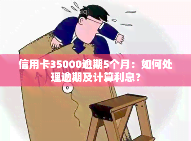 信用卡35000逾期5个月：如何处理逾期及计算利息？