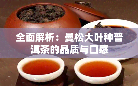 全面解析：曼松大叶种普洱茶的品质与口感