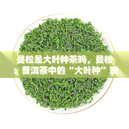 曼松是大叶种茶吗，曼松：普洱茶中的“大叶种”瑰宝