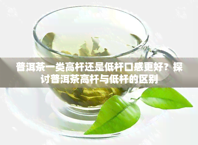 普洱茶一类高杆还是低杆口感更好？探讨普洱茶高杆与低杆的区别