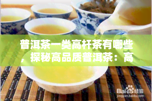 普洱茶一类高杆茶有哪些，探秘高品质普洱茶：高杆茶的盘点与推荐