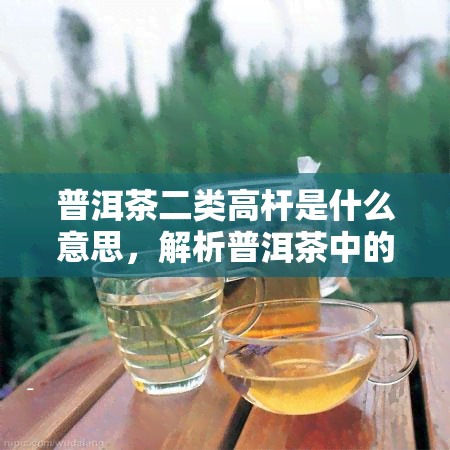 普洱茶二类高杆是什么意思，解析普洱茶中的“二类高杆”术语