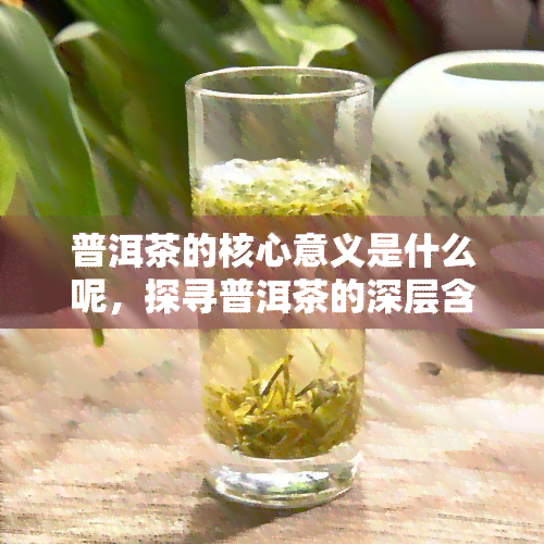 普洱茶的核心意义是什么呢，探寻普洱茶的深层含义：核心意义解析