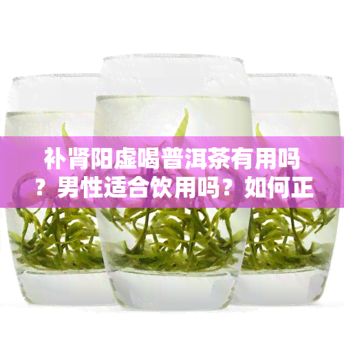 补肾阳虚喝普洱茶有用吗？男性适合饮用吗？如何正确泡饮？与红茶相比哪种更好？阳虚体质的人可以喝普洱茶吗？