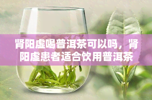 肾阳虚喝普洱茶可以吗，肾阳虚患者适合饮用普洱茶吗？