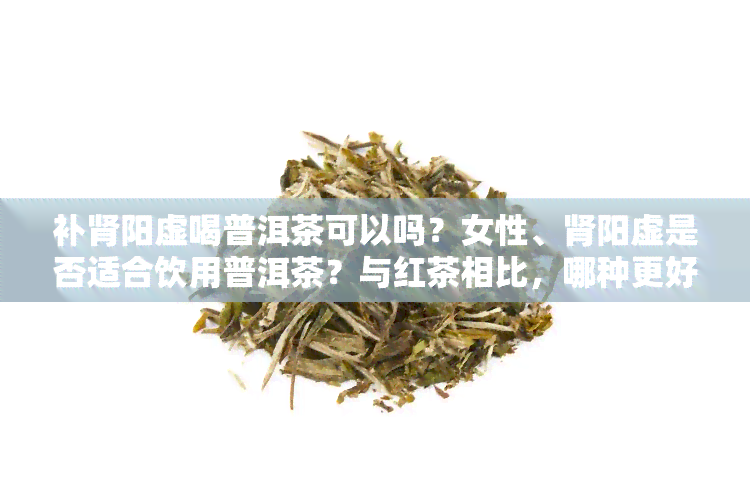 补肾阳虚喝普洱茶可以吗？女性、肾阳虚是否适合饮用普洱茶？与红茶相比，哪种更好？