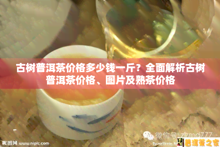 古树普洱茶价格多少钱一斤？全面解析古树普洱茶价格、图片及熟茶价格