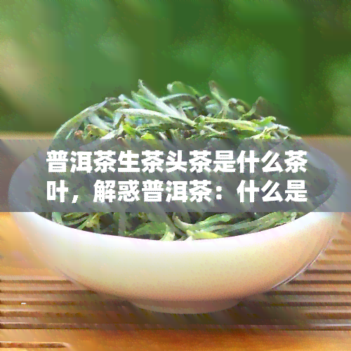 普洱茶生茶头茶是什么茶叶，解惑普洱茶：什么是生茶头？