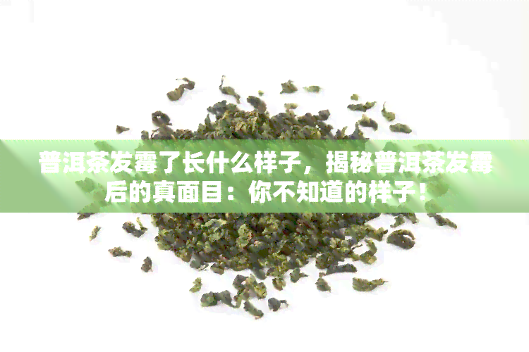 普洱茶发霉了长什么样子，揭秘普洱茶发霉后的真面目：你不知道的样子！