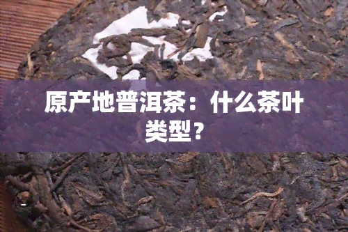 原产地普洱茶：什么茶叶类型？