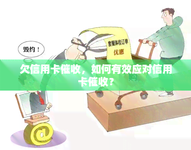 欠信用卡，如何有效应对信用卡？