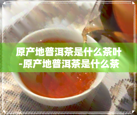 原产地普洱茶是什么茶叶-原产地普洱茶是什么茶叶